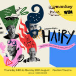 Banner for HAIRY theatre show